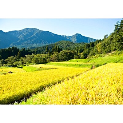 【6月発送】新潟県奥阿賀産こしひかり10kg【越後ファーム】