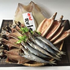 【鱈場特選】きときと魚一夜干し!氷見産4種詰合せ《鯵・かます・鰯・するめ》