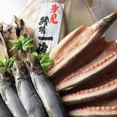 【鱈場特選】きときと魚一夜干し!氷見産4種詰合せ《鯵・かます・鰯・するめ》