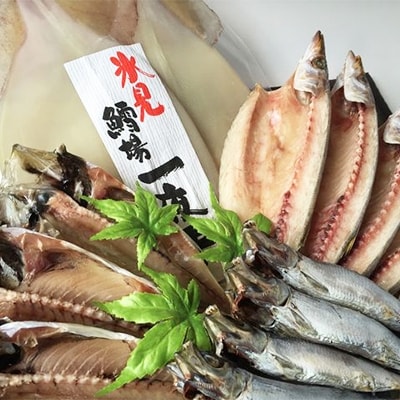 【鱈場特選】きときと魚一夜干し!氷見産4種詰合せ《鯵・かます・鰯・するめ》