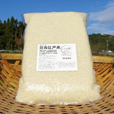 完全自然米(白米) 2.7kg　令和6年産