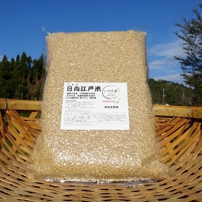 完全自然米(玄米) 2.7kg　令和6年産