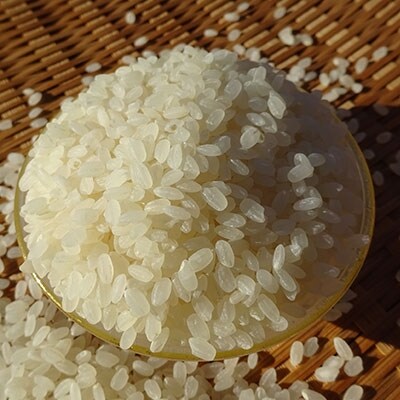 完全自然米(白米)5kg+古代米セット　令和6年産