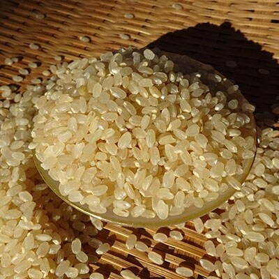 完全自然米(5分つき)5kg+古代米セット　令和6年産