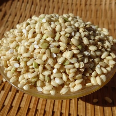 完全自然米(5分つき)5kg+古代米セット　令和6年産