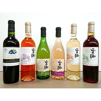 雲海ワインセット　6本組
