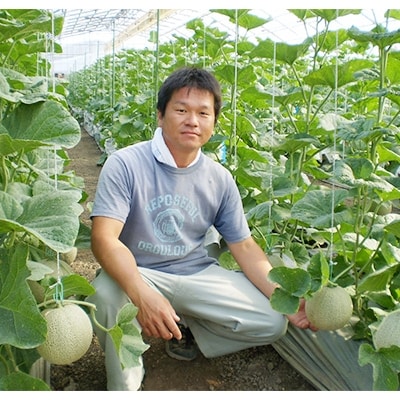 高知県南国市産/贈答用マスクメロン(4個)