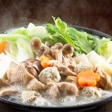 博多の味本舗 博多水炊き パーティーセット(16～20人前) | ふるさと納税のお礼品