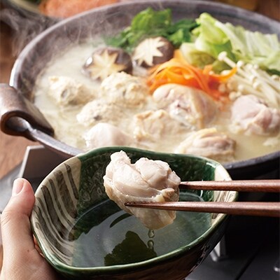 博多の味本舗 博多水炊き パーティーセット(16～20人前)