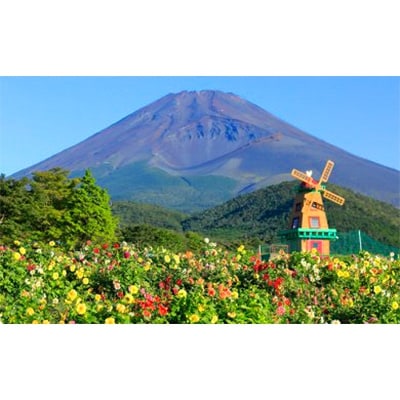 遊園地ぐりんぱ　ワンデークーポン2枚セット