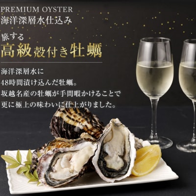 【国産】殻付き牡蠣旅する牡蠣プレミアムオイスター室戸海洋深層水 坂越8～10個入り