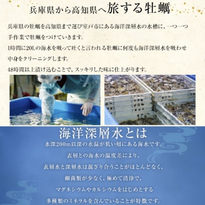 【国産】殻付き牡蠣旅する牡蠣プレミアムオイスター室戸海洋深層水 坂越8～10個入り
