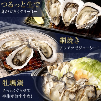 【国産】殻付き牡蠣旅する牡蠣プレミアムオイスター室戸海洋深層水 坂越8～10個入り