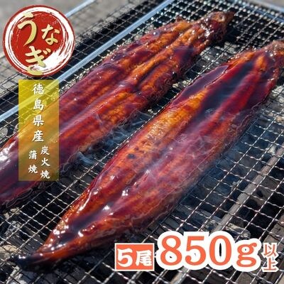 国産徳島県産 うなぎ蒲焼 こだわりの炭火焼 大きめ5尾