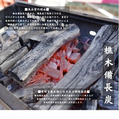 国産徳島県産 うなぎ蒲焼 こだわりの炭火焼 大きめ5尾