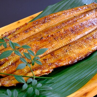 国産徳島県産 うなぎ蒲焼 こだわりの炭火焼 大きめ2尾