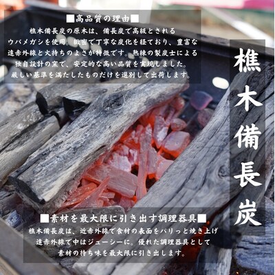 国産徳島県産 うなぎ蒲焼 こだわりの炭火焼 大きめ2尾