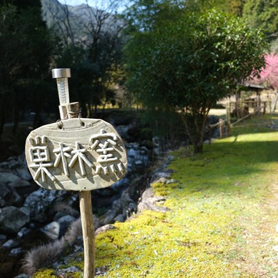 【巣林窯】ウミガメ夫婦茶碗