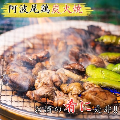 阿波尾鶏炭火焼(100g×6袋)