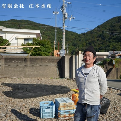 漁師たつ兄の真牡蠣オイル漬け2本