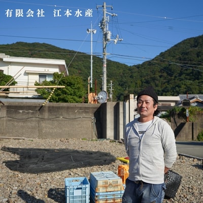 漁師たつ兄のタコのうま煮2缶