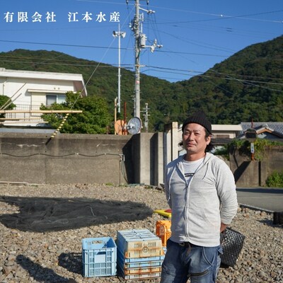 漁師たつ兄のタコの沖漬け2本