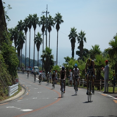 2026第27回ひわさうみがめトライアスロン大会優先参加権(1名)