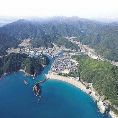 2026第27回ひわさうみがめトライアスロン大会優先参加権(1名)