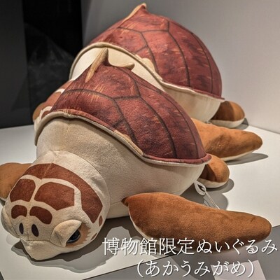 プレオープン記念　限定チケット(大人:18歳以上)ぬいぐるみ券+バッジセット　1名分