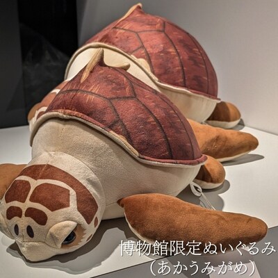 プレオープン記念　限定チケット(大人:18歳以上)ぬいぐるみ券セット　2名分