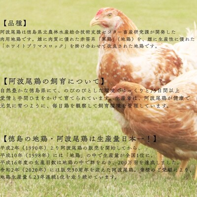 AWAODORILAB3種9食