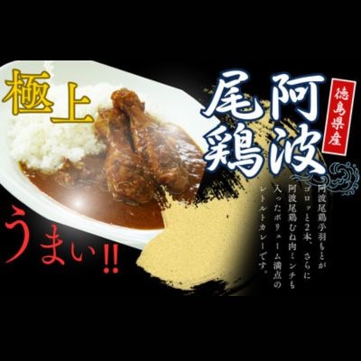 阿波尾鶏骨付地鶏カレー10食