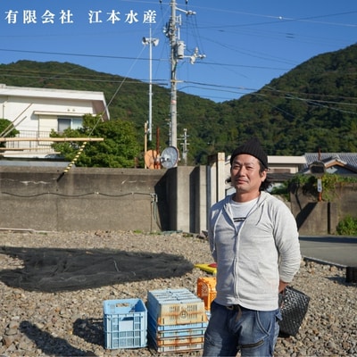漁師「たつ兄」の詰合せセット(全4種)