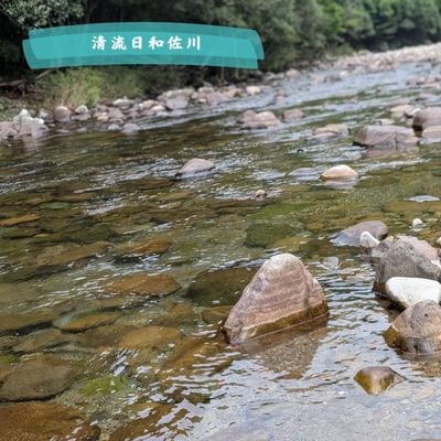 【令和7年産】徳島県海部郡美波町産コシヒカリ100% 精米5kg