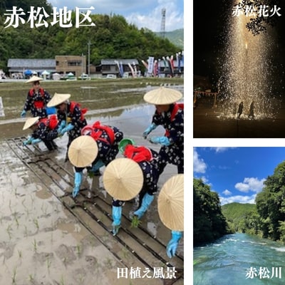 【美波町・赤松地区発】 赤松女性部の手作り味噌 ー定期便3ヵ月