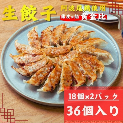 阿波尾鶏薄皮生餃子36個入(18個入×2P)1セット