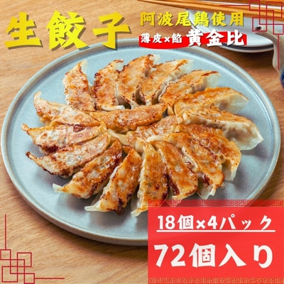 阿波尾鶏薄皮生餃子72個入(18個入×2P)2セット