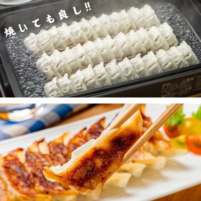 阿波尾鶏薄皮生餃子72個入(18個入×2P)2セット