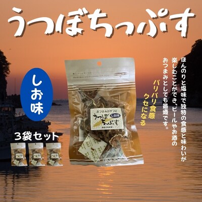 漁師たつ兄のうつぼチップス3袋