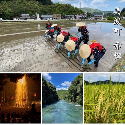 源流の郷　赤松のお米　新米9月発送「赤松大田楽奉納米」コシヒカリ玄米30キロ