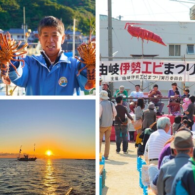 【春期50セット限定】水産庁長官賞受賞!日和佐町漁協直送「天然活伊勢えび」たっぷり1kg(3～5尾)