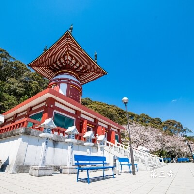 【四国霊場第23番札所・薬王寺にて御祈祷】厄除けのまち・美波町の天然塩「やくよけ塩」