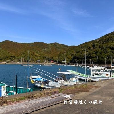 海と森の恵みを結ぶ天然クラフト塩「美波御塩」
