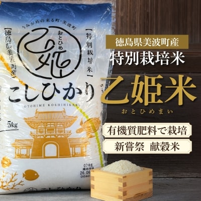 乙姫米 令和7年産 精米5kg