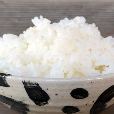 乙姫米 令和7年産 精米5kg
