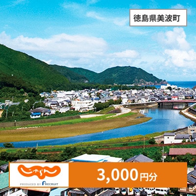 【じゃらんふるさと納税クーポン】 徳島県美波町でつかえる3,000円 クーポン