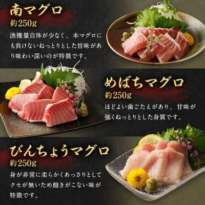 厳選天然マグロ3種セット(南鮪・目鉢鮪・びんちょう鮪)
