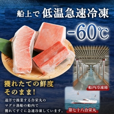 厳選天然マグロ3種セット(南鮪・目鉢鮪・びんちょう鮪)