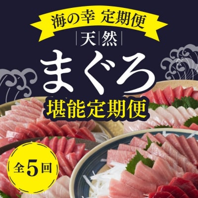 【船元直送】厳選天然マグロ堪能定期便【全5回】