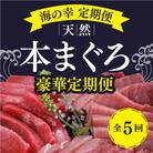 【船元直送】厳選天然本マグロ豪華定期便【全5回】